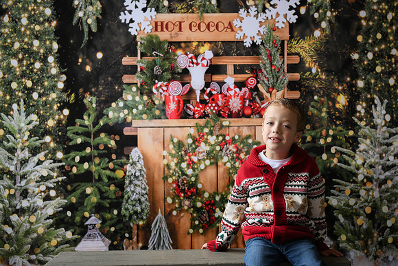 Holiday Mini  [Abel] 07