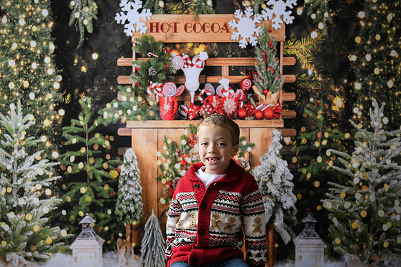 Holiday Mini  [Abel] 12