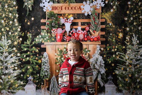 Holiday Mini  [Abel] 14