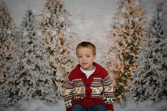 Holiday Mini  [Abel] 21