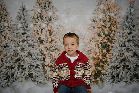 Holiday Mini  [Abel] 22