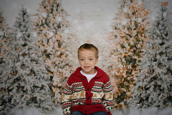 Holiday Mini  [Abel] 23