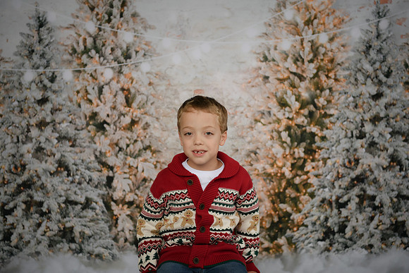 Holiday Mini  [Abel] 24