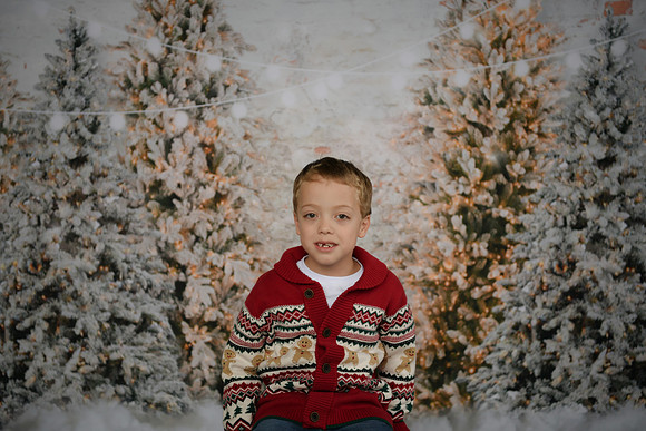 Holiday Mini  [Abel] 25