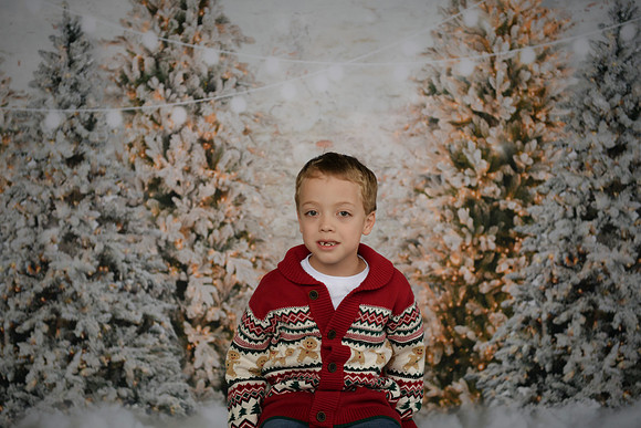 Holiday Mini  [Abel] 27
