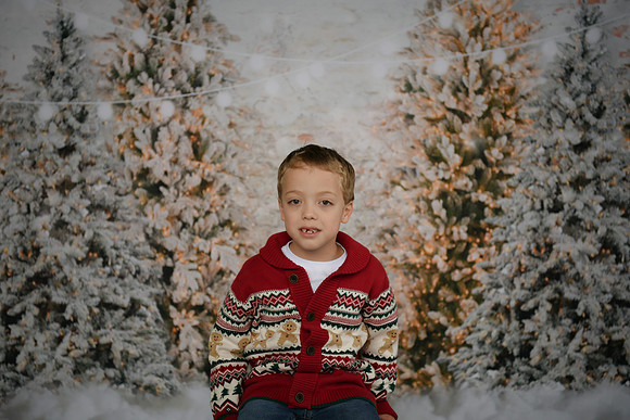 Holiday Mini  [Abel] 26
