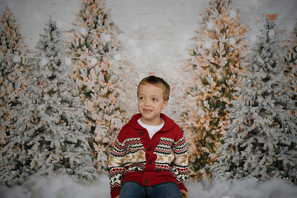 Holiday Mini  [Abel] 28