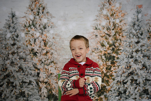 Holiday Mini  [Abel] 30