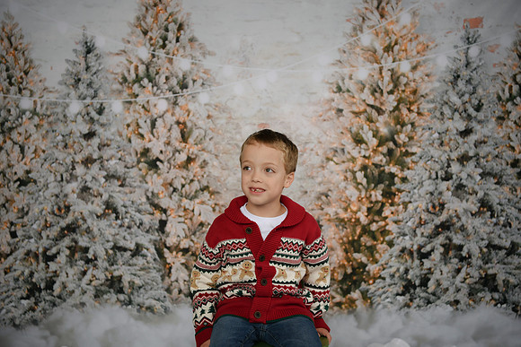 Holiday Mini  [Abel] 29