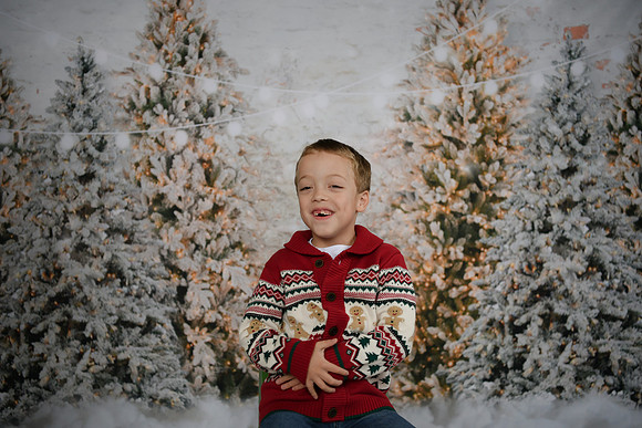 Holiday Mini  [Abel] 31
