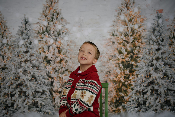 Holiday Mini  [Abel] 34