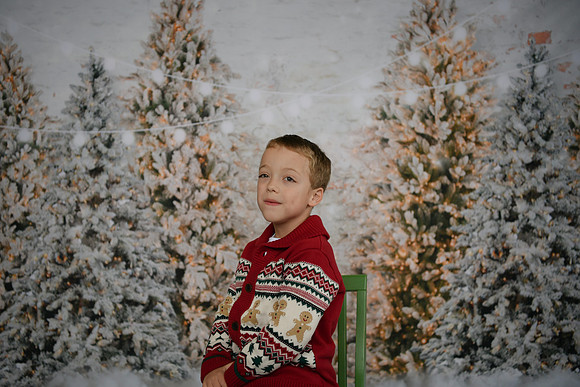 Holiday Mini  [Abel] 32
