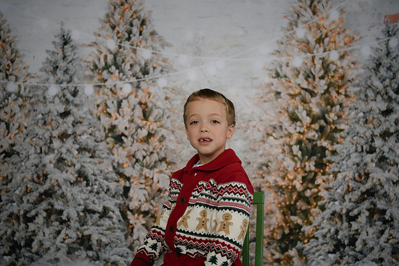 Holiday Mini  [Abel] 37