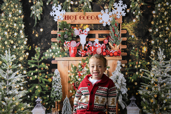 Holiday Mini  [Abel] 11