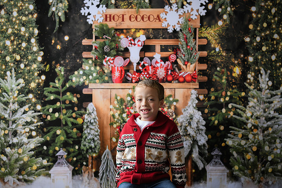 Holiday Mini  [Abel] 13