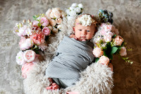 Amelia [newborn] images 009