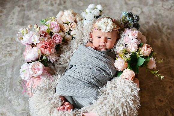Amelia [newborn] images 009
