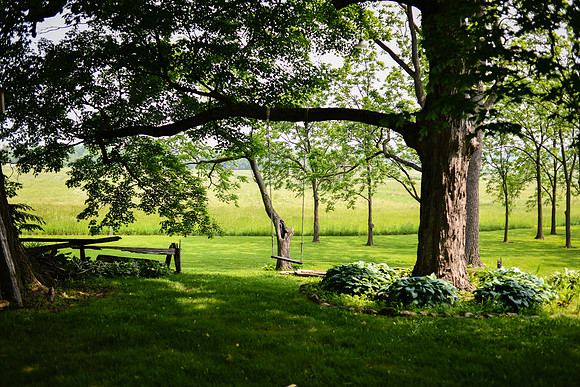 Carter & Marlah Wedding Photos [grounds] 039