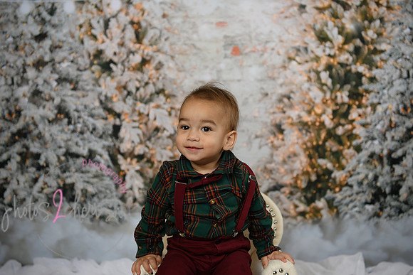 Holiday Mini  [Colon] 49