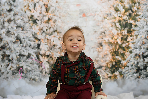 Holiday Mini  [Colon] 51