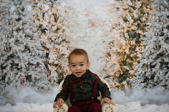 Holiday Mini  [Colon] 52