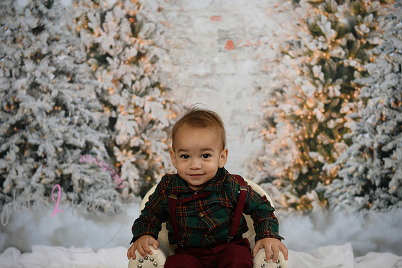 Holiday Mini  [Colon] 53