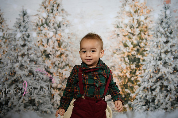 Holiday Mini  [Colon] 54