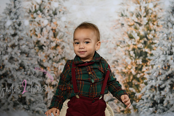 Holiday Mini  [Colon] 55