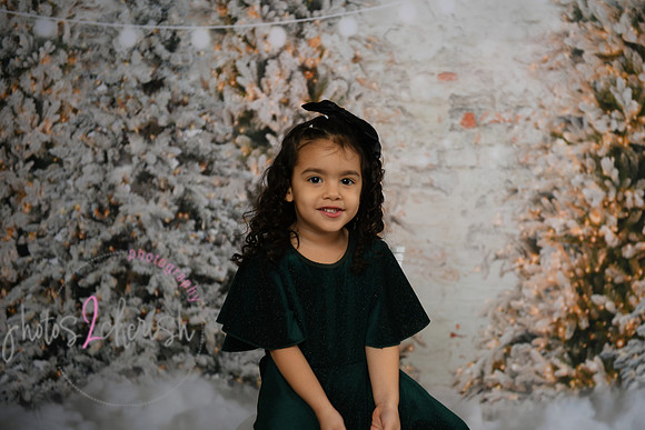 Holiday Mini  [Colon] 57