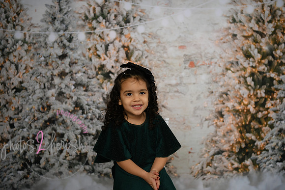 Holiday Mini  [Colon] 58