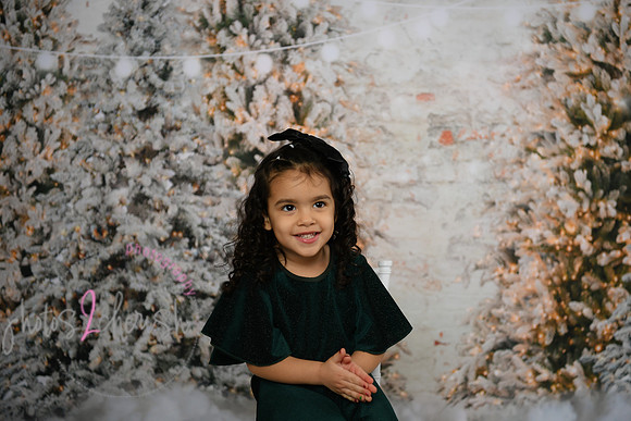 Holiday Mini  [Colon] 59