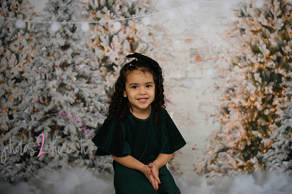 Holiday Mini  [Colon] 60
