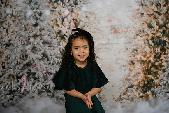 Holiday Mini  [Colon] 61