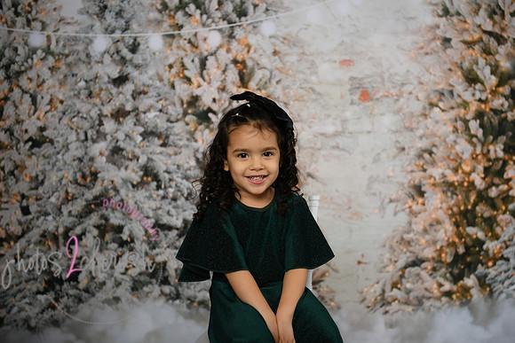 Holiday Mini  [Colon] 62