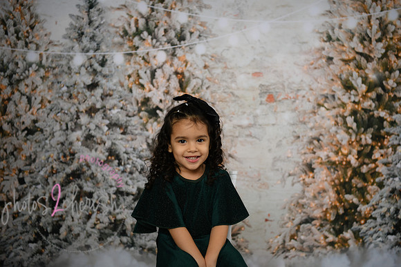 Holiday Mini  [Colon] 63