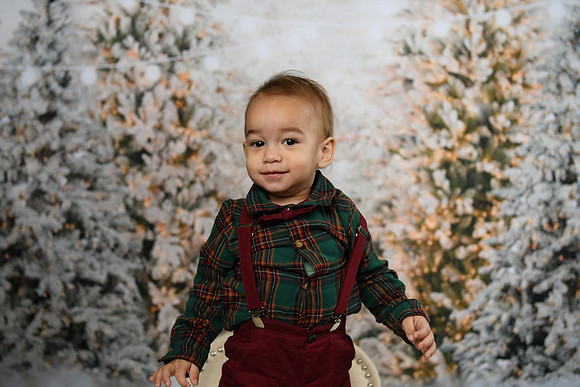 Holiday Mini  [Colon] 55