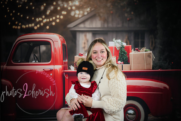 Holiday Mini [Markley] 049
