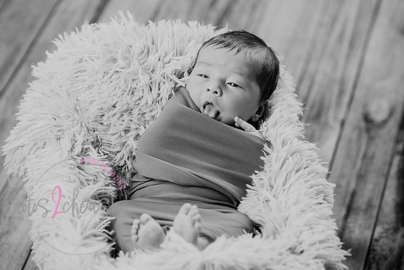 Anthony [newborn] 054