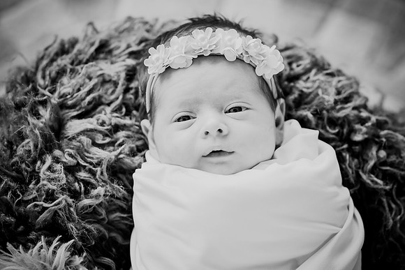 Delaney [newborn] 154