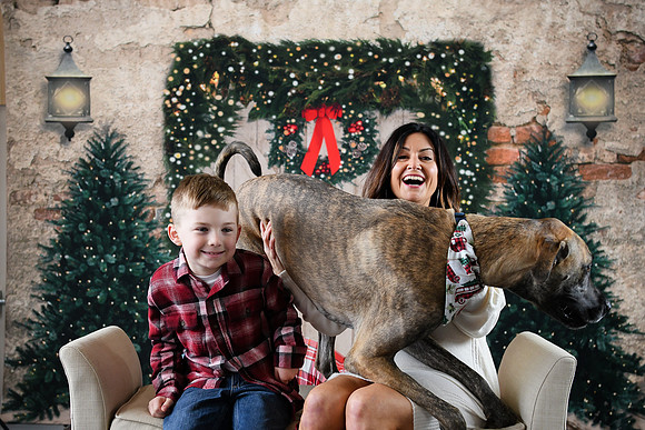 Holiday [Simmons] 11