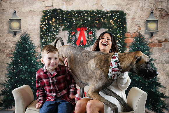Holiday [Simmons] 12
