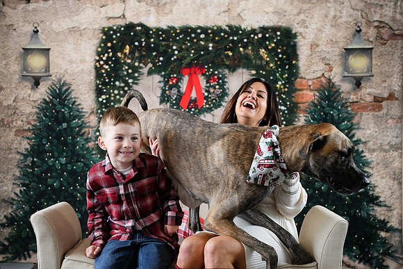Holiday [Simmons] 13