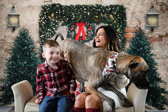 Holiday [Simmons] 16