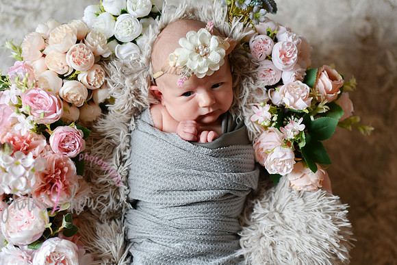 Amelia [newborn] images 033