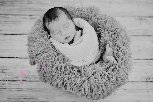 Anthony [newborn] 081