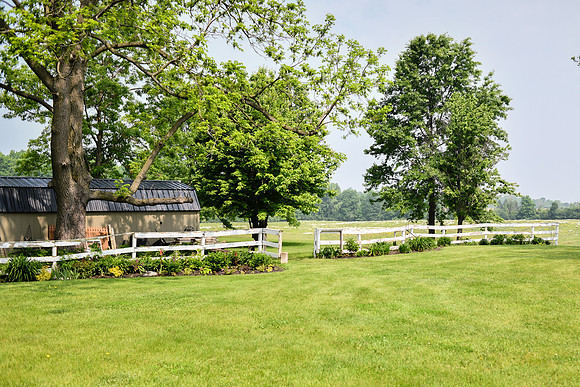 Carter & Marlah Wedding Photos [grounds] 034