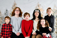 Holiday [all family] 20