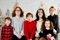 Holiday [all family] 17
