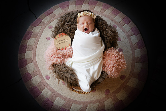 Delaney [newborn] 233