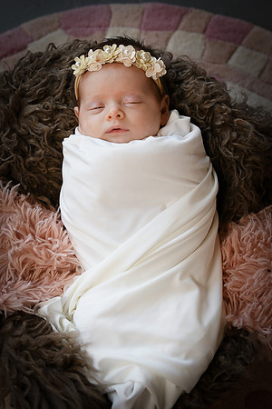 Delaney [newborn] 110